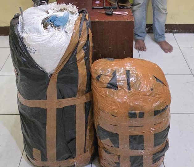 Ditresnarkoba Polda Sumut Gagalkan Peredaran 20 Kg Ganja Asal Aceh, Tiga Pelaku Diamankan di Medan