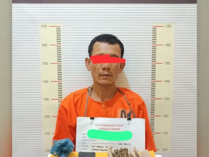 Polres Tapteng Ringkus ‘Kongo’, Pengedar Paket Lengkap Ganja dan Sabu di Lubuk Tukko