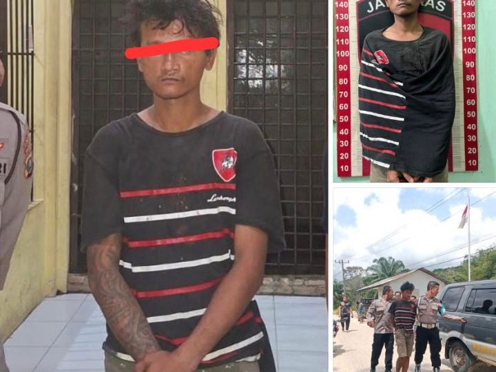 Polres Tapteng Ungkap Kasus Pencabulan Anak di Kecamatan Badiri, Pelaku Berhasil Diringkus