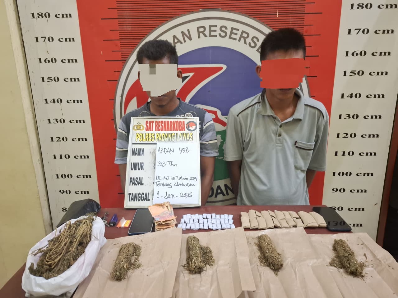 Satres Narkoba Polres Padang Lawas Tangkap Dua Terduga Pengedar Ganja, Ratusan Gram Barang Bukti Disita