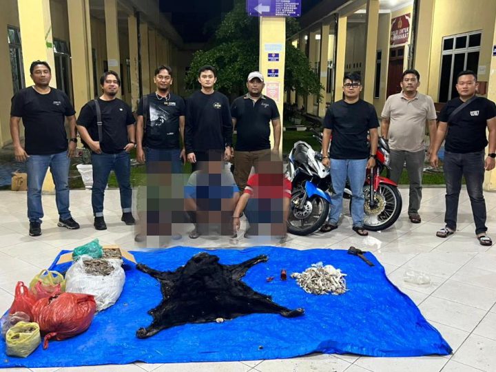 Polres Simalungun Ungkap Kasus Dugaan Perdagangan Satwa Dilindungi