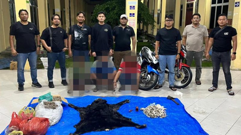 Polres Simalungun Ungkap Kasus Dugaan Perdagangan Satwa Dilindungi