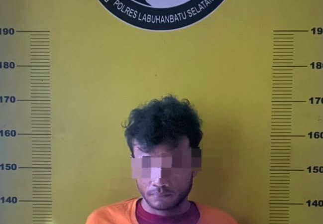 Polres Labuhanbatu Selatan Berhasil Ungkap Kasus Peredaran Narkotika, Seorang Pria Diamankan dengan Barang Bukti Sabu 8,20 Gram
