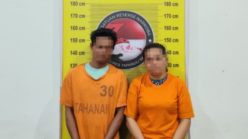 Polres Tapsel Ringkus Bandar Narkotika, Lima Kilogram Ganja Diamankan