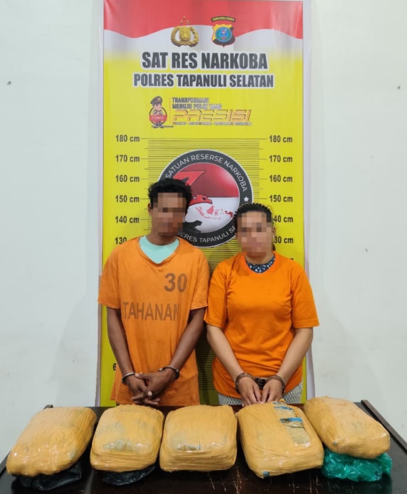 Polres Tapsel Ringkus Bandar Narkotika, Lima Kilogram Ganja Diamankan